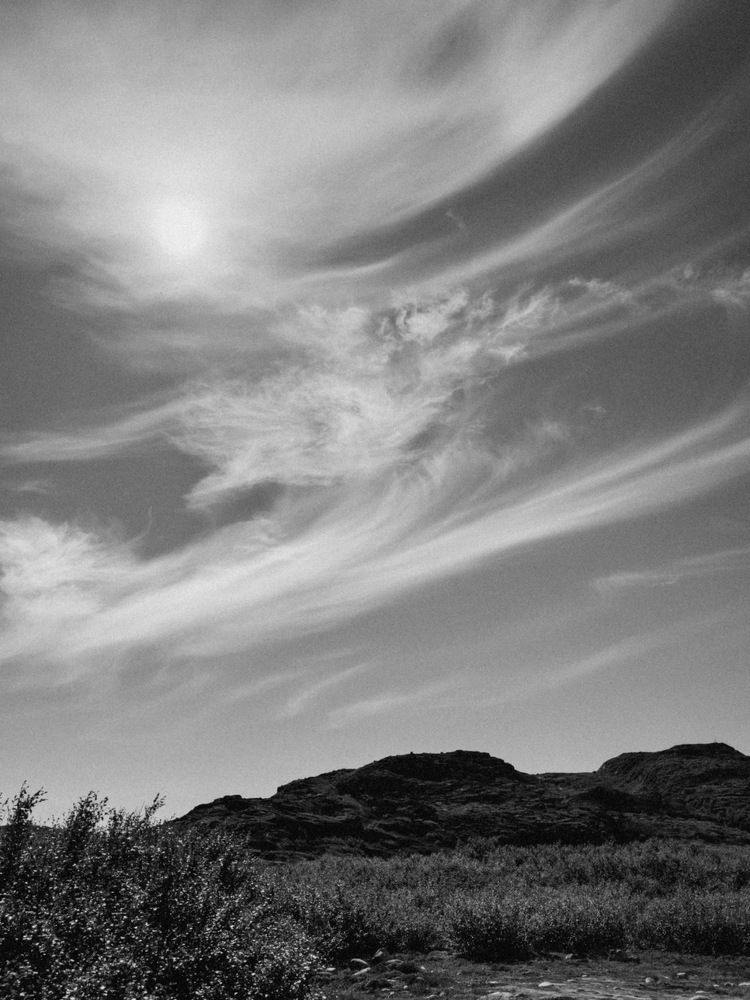 Photograph by Алиса Нежинская