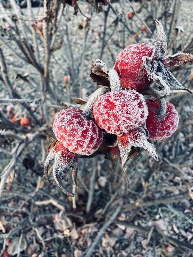 Photograph by Елена Безперстова
