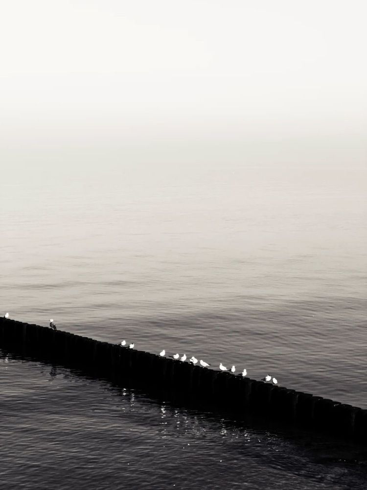 Photograph by Алиса Нежинская