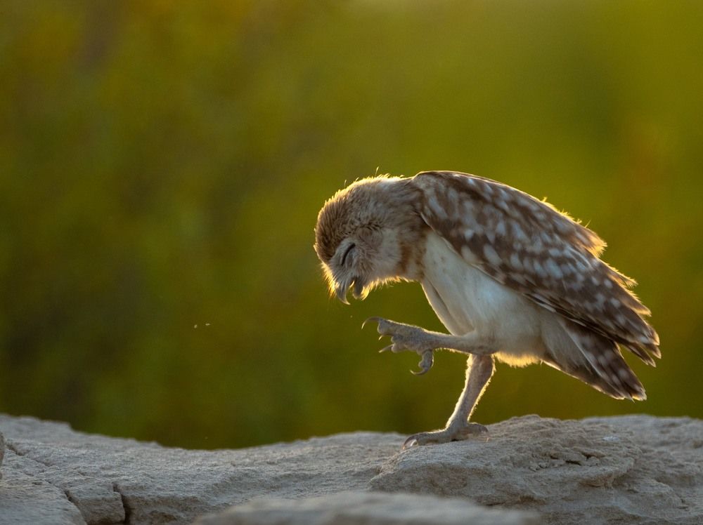Фотография автора Hari Govindarajulu