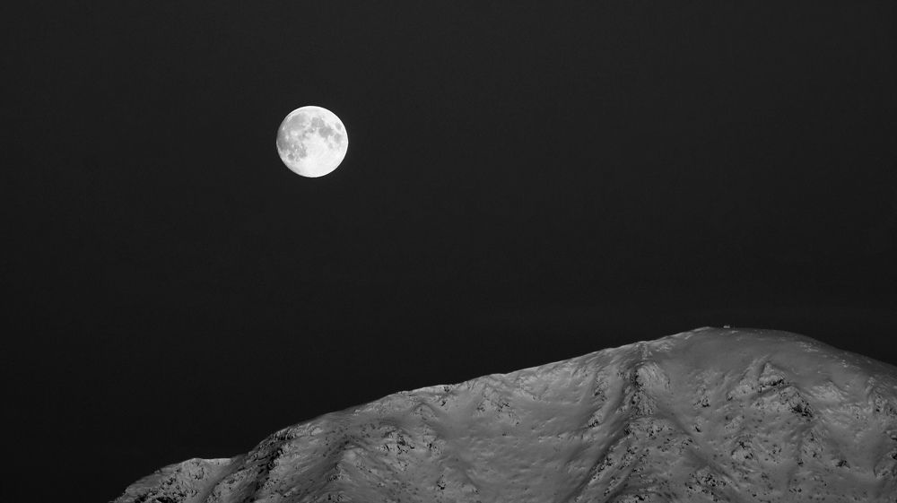 Photograph by Елизавета Нефедова