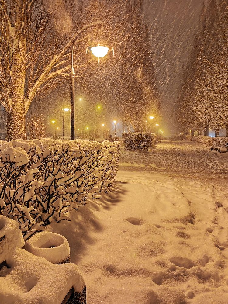 Фотография автора Юрий Звонарев