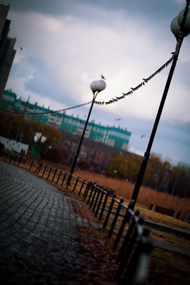 Фотография автора Алексей Дружинин