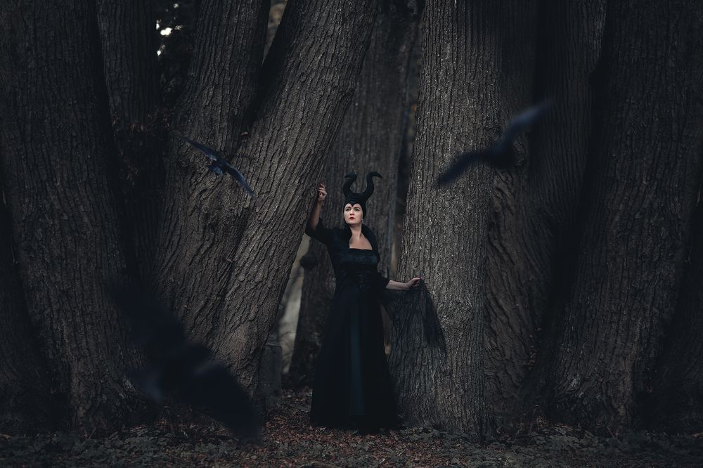 Photograph by Arlauskaite Buloviene Vilma