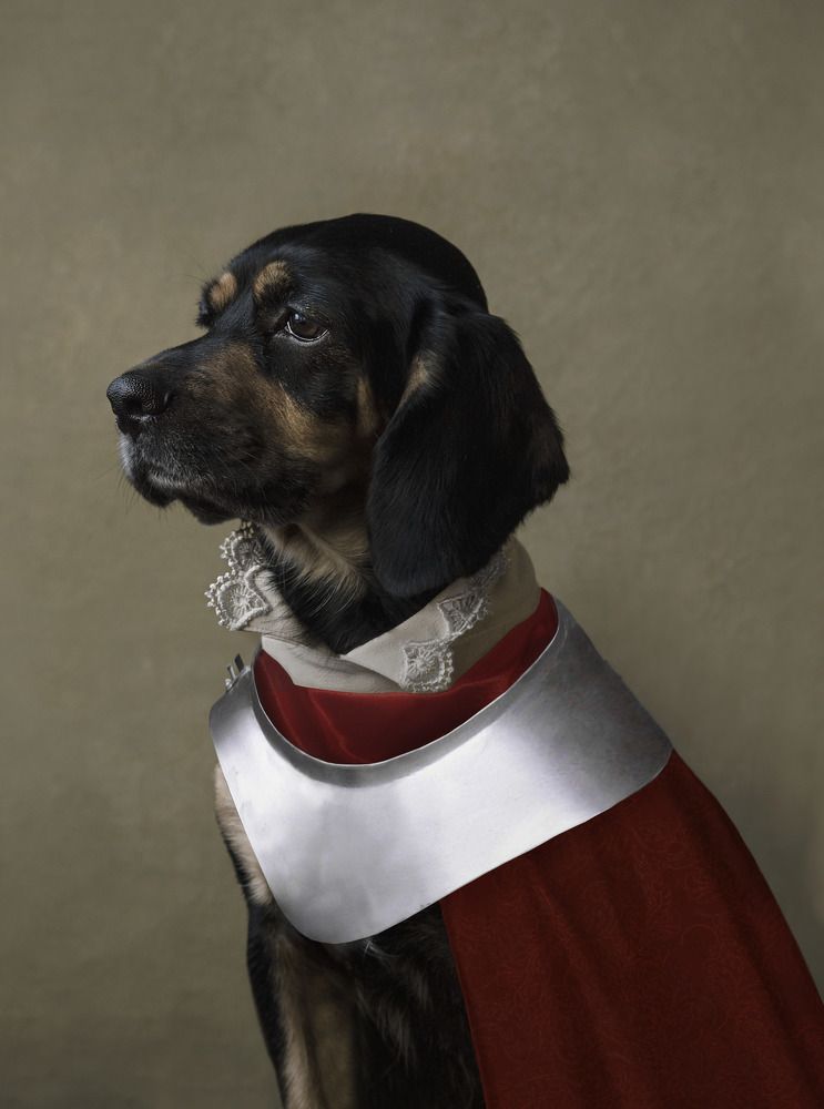 Photograph by Янина Черпухина-Андреева