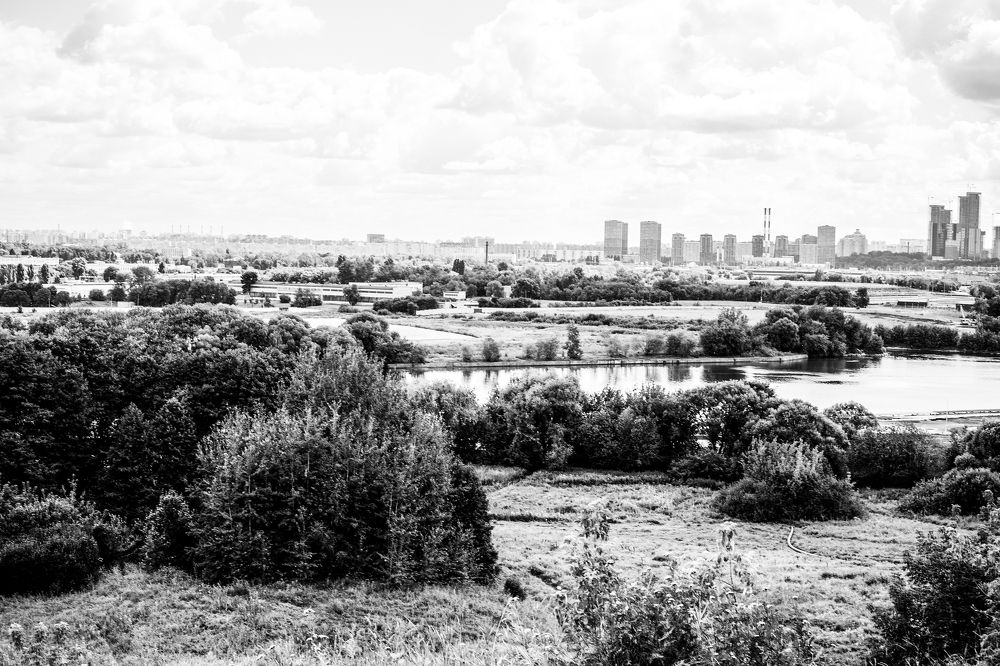 Фотография автора Дарина Фельдман