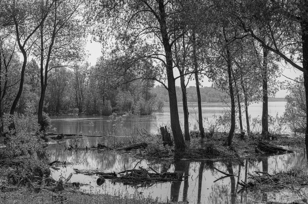 Photograph by Михаил Измайлов