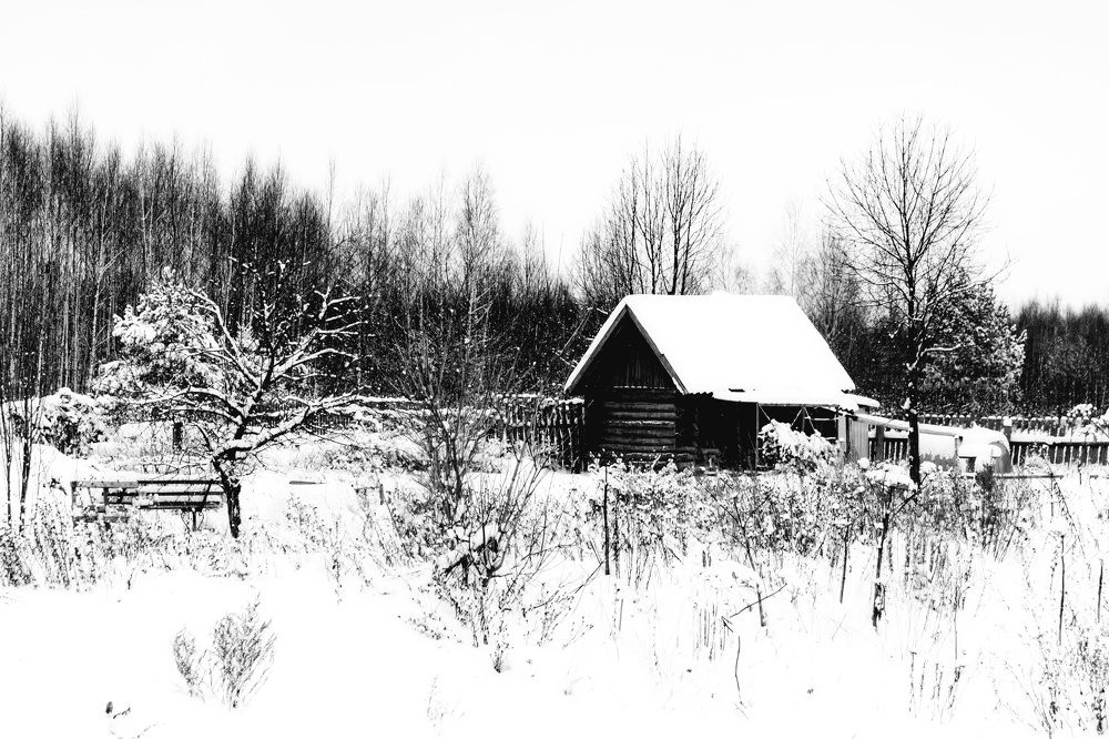 Photograph by Елена Ефимова