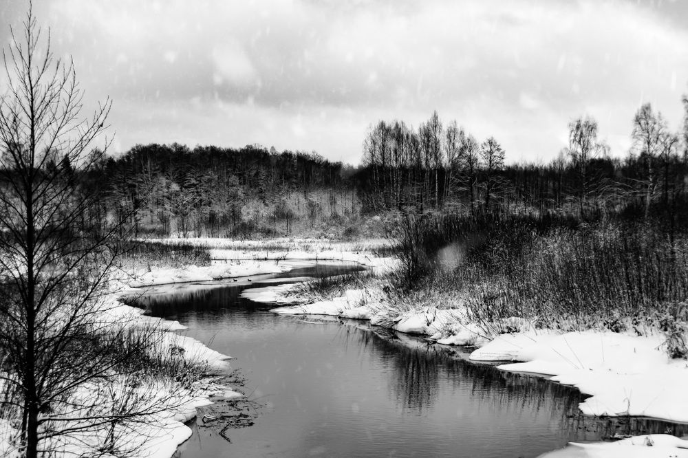 Photograph by Елена Ефимова