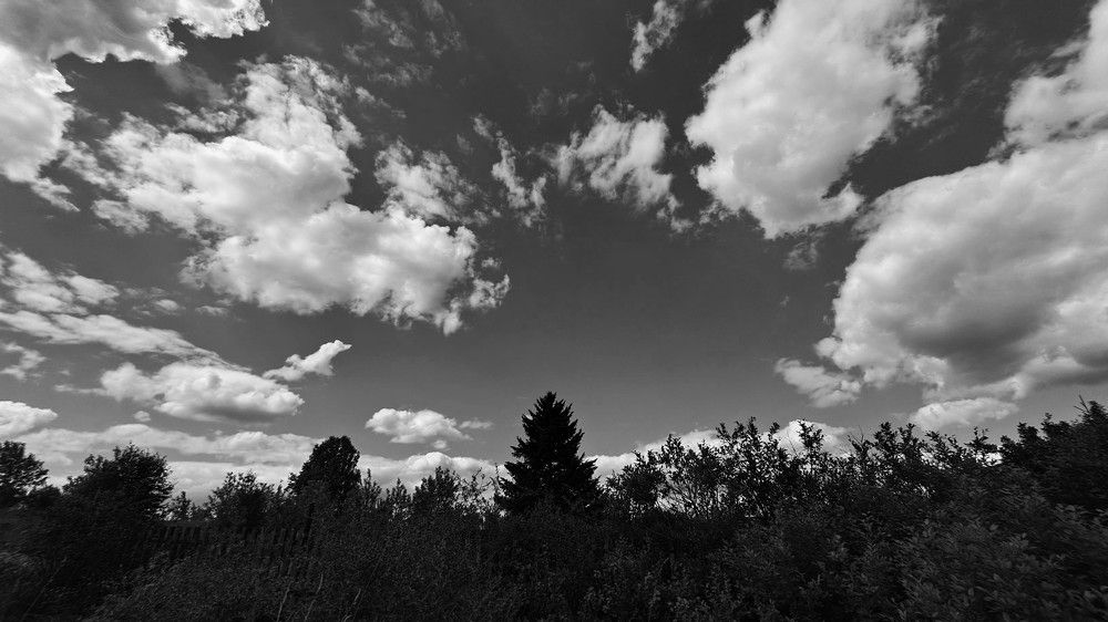 Photograph by Николай Худяков