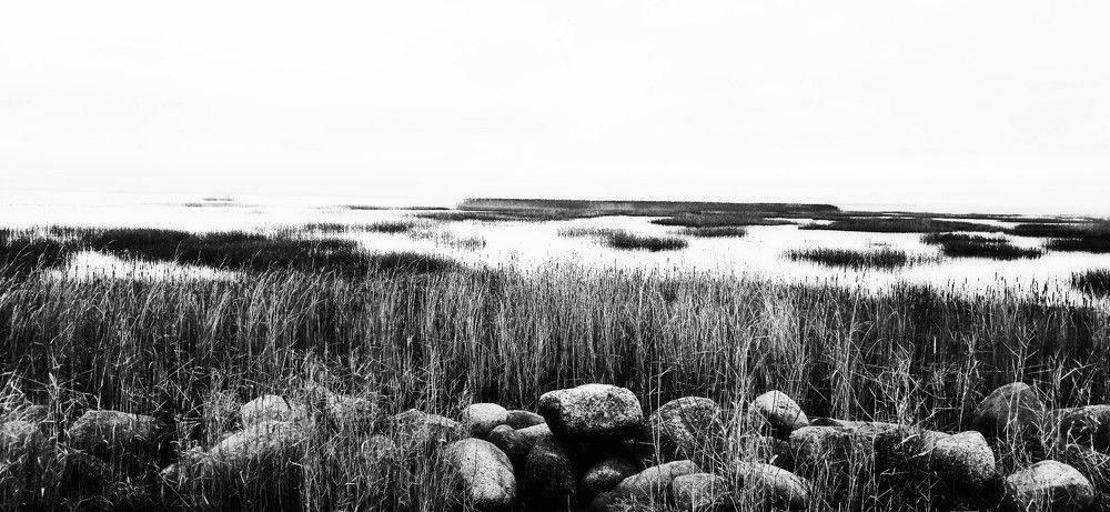 Фотография автора Valerya Vasileva