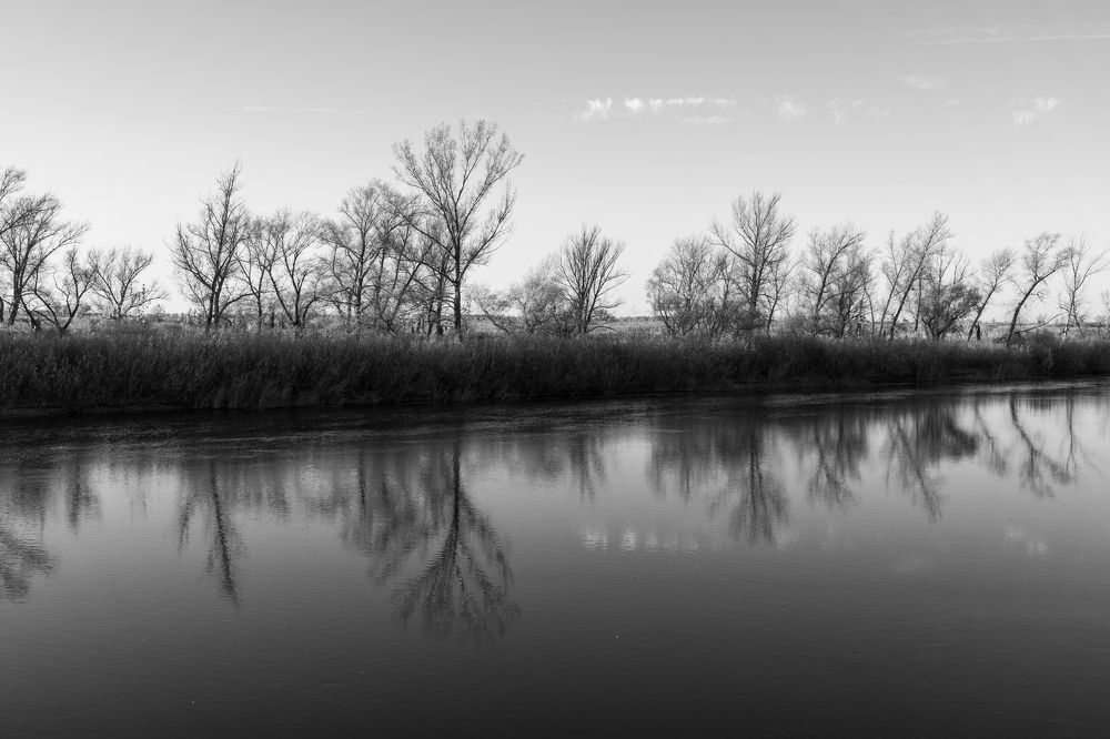 Photograph by Дарья Карамышева