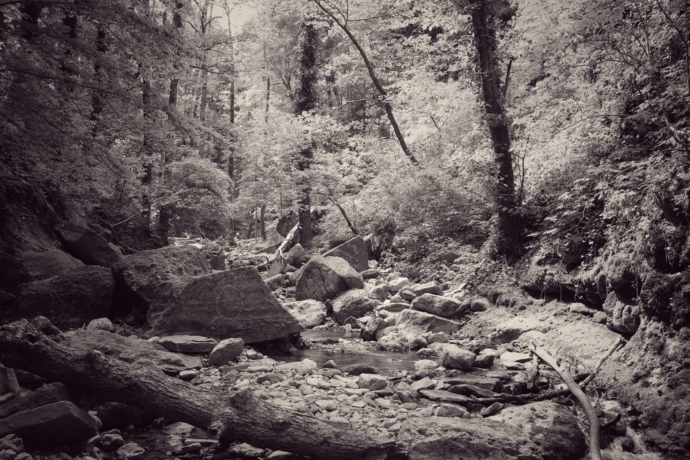 Photograph by Ирина Дмитриенко