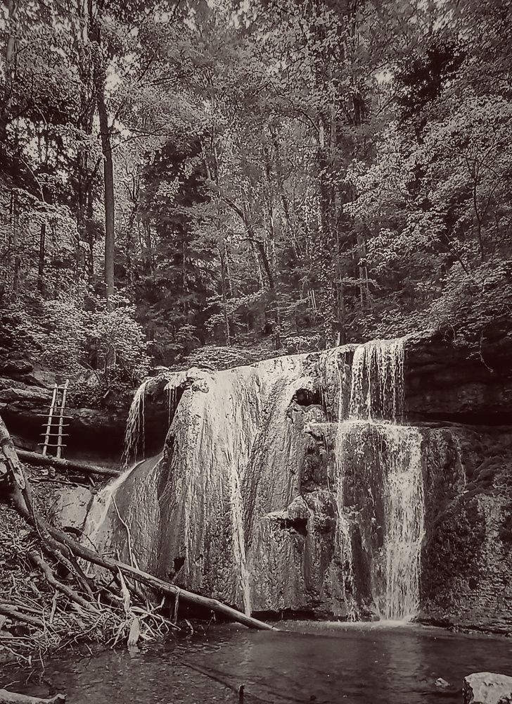 Photograph by Ирина Дмитриенко