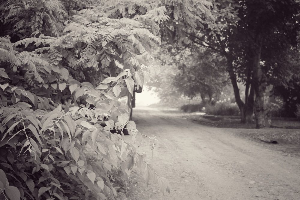 Photograph by Ирина Дмитриенко