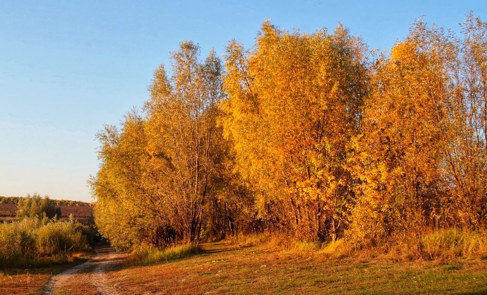 Photograph by Елена Рудкевич