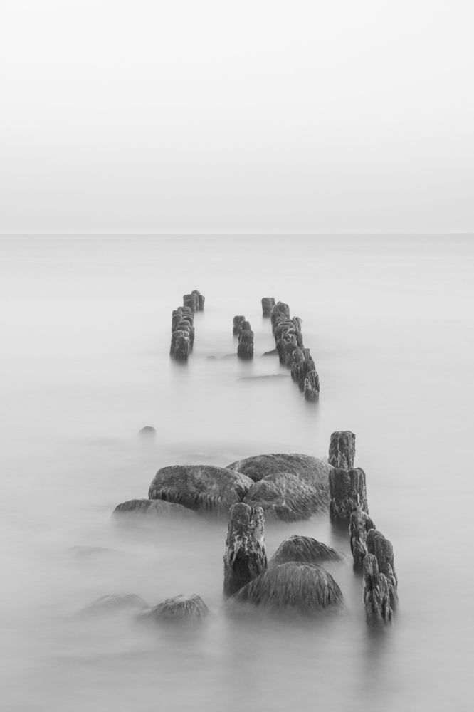 Photograph by Дарья Карамышева