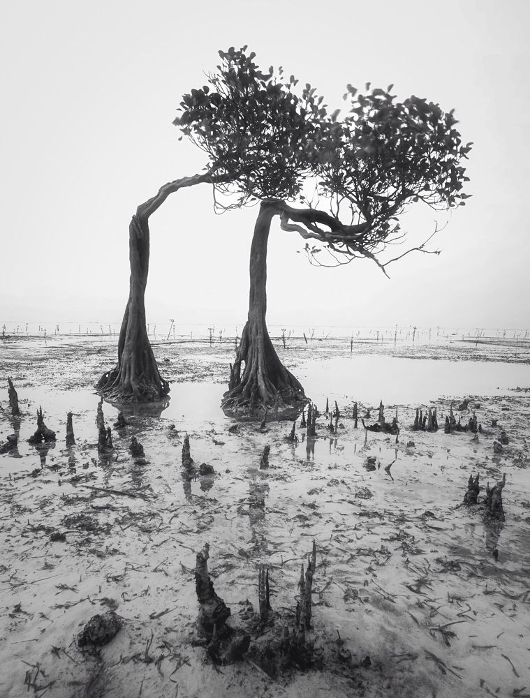 Фотография автора Henri Fitriadi