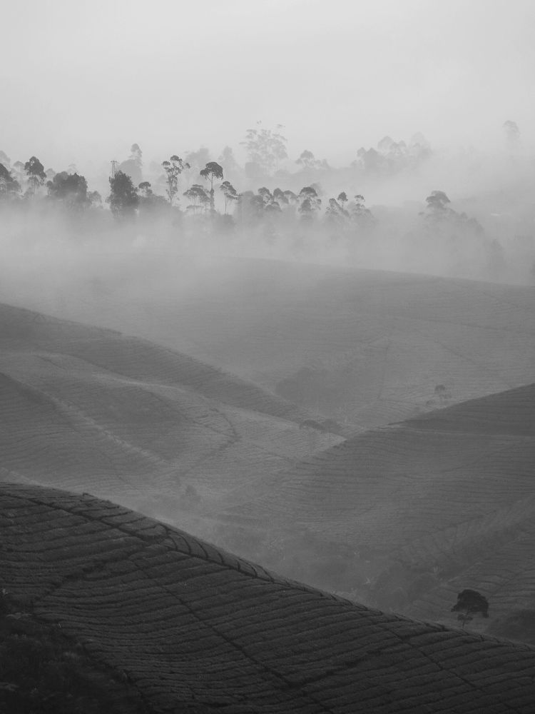 Фотография автора Henri Fitriadi