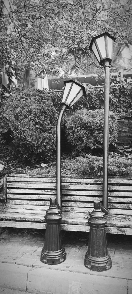 Photograph by Mishel Photographer