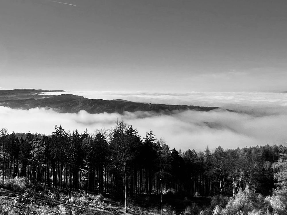 Фотография автора Kateryna Ivanova