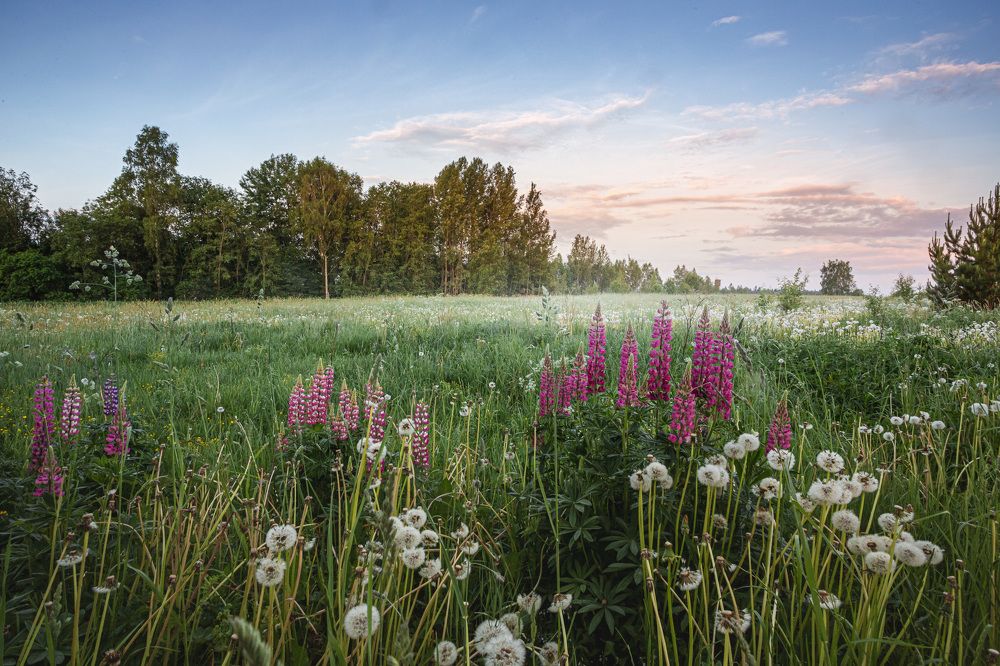 Photograph by Зеленько Дмитрий