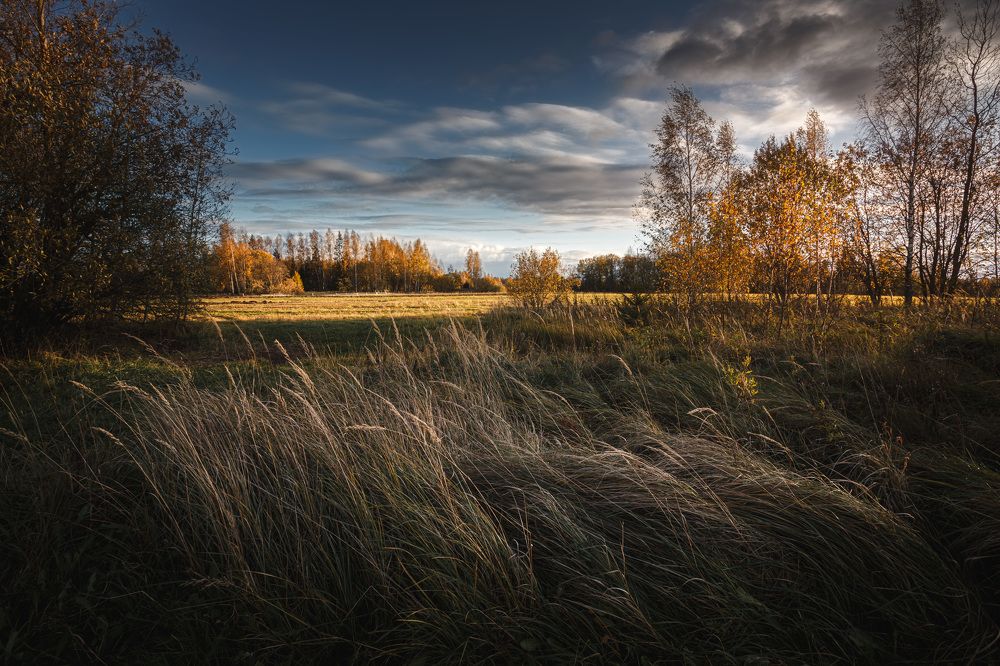 Photograph by Зеленько Дмитрий