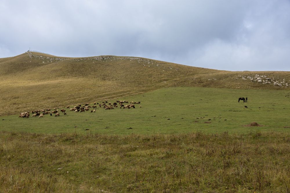 Photograph by Денис Есаков