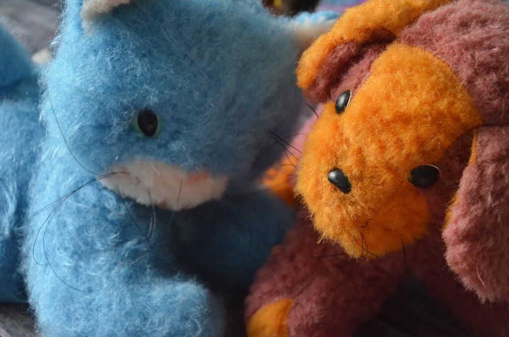 Photograph by Valentina