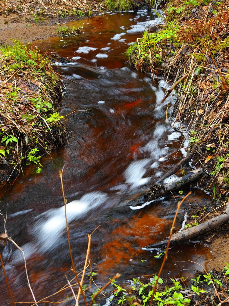 Photograph by PERESHEIN ANDREY