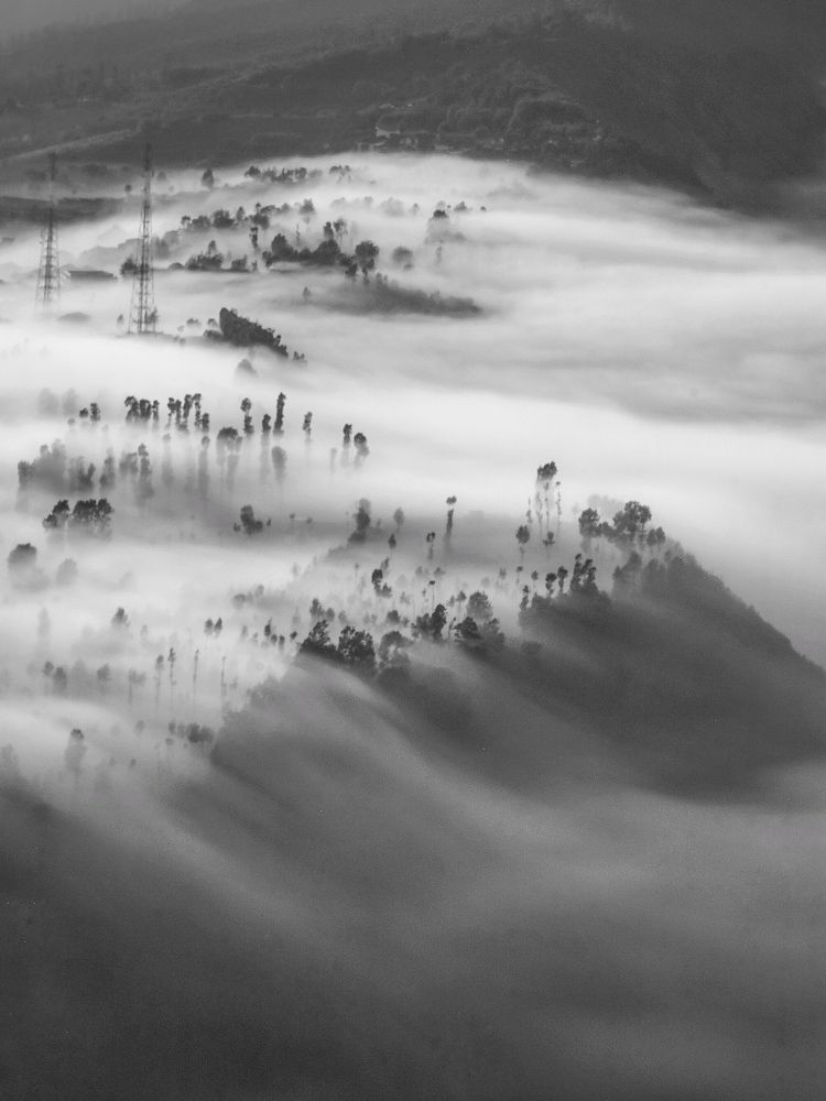 Фотография автора Henri Fitriadi