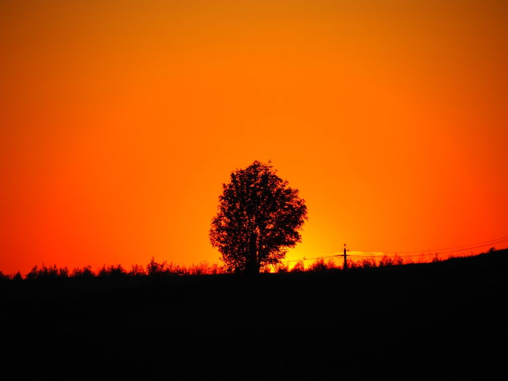 Photograph by PERESHEIN ANDREY