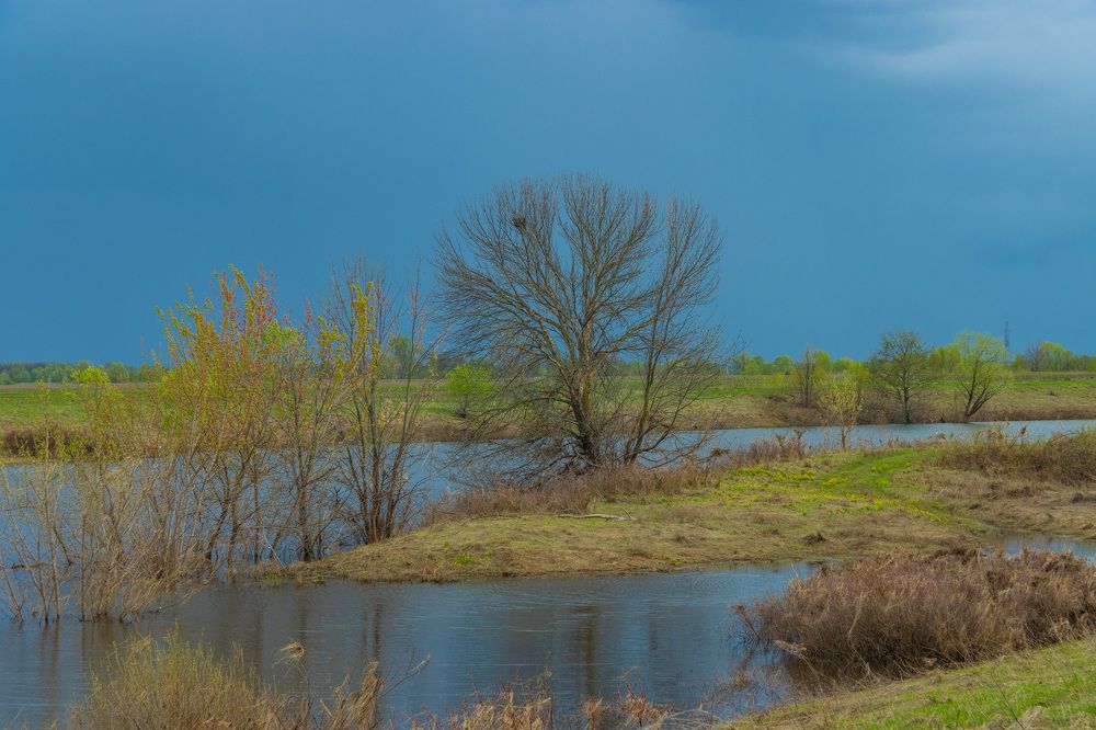 Photograph by Сергей Щербаков