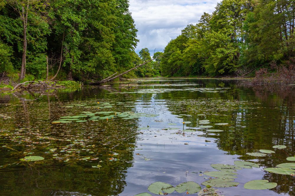 Photograph by Сергей Щербаков