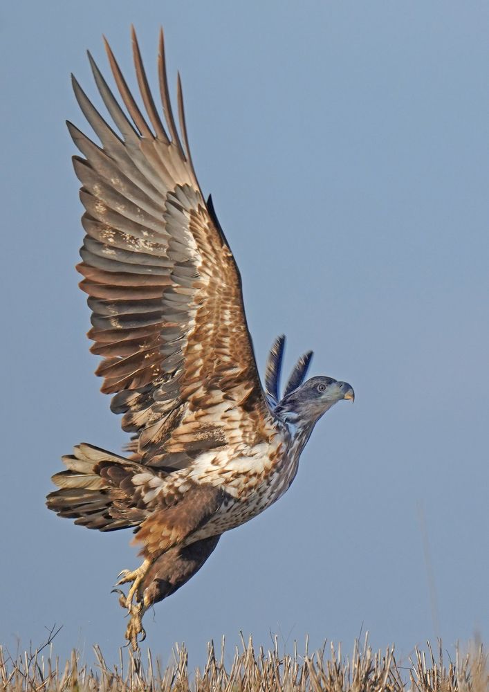 Фотография автора Владимир Соколов