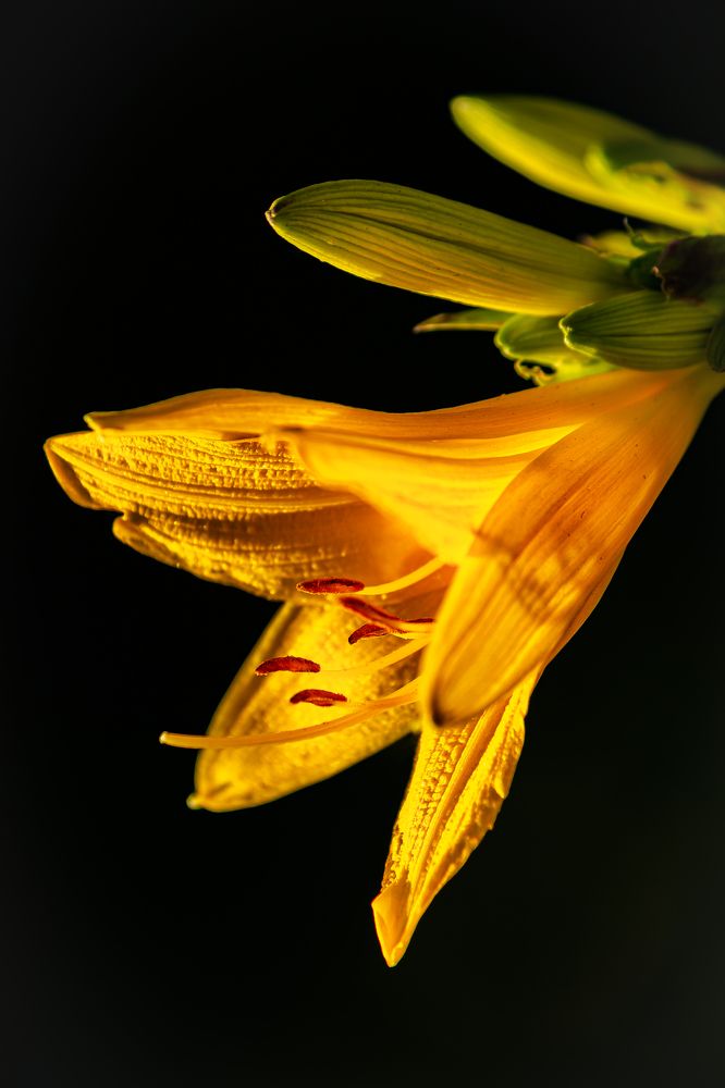 Photograph by Ксения Моськина