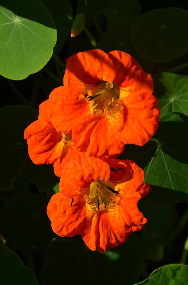 Photograph by Valentina