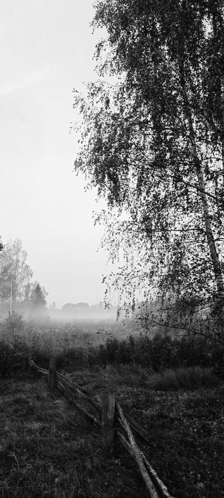 Photograph by Татьяна Исаева