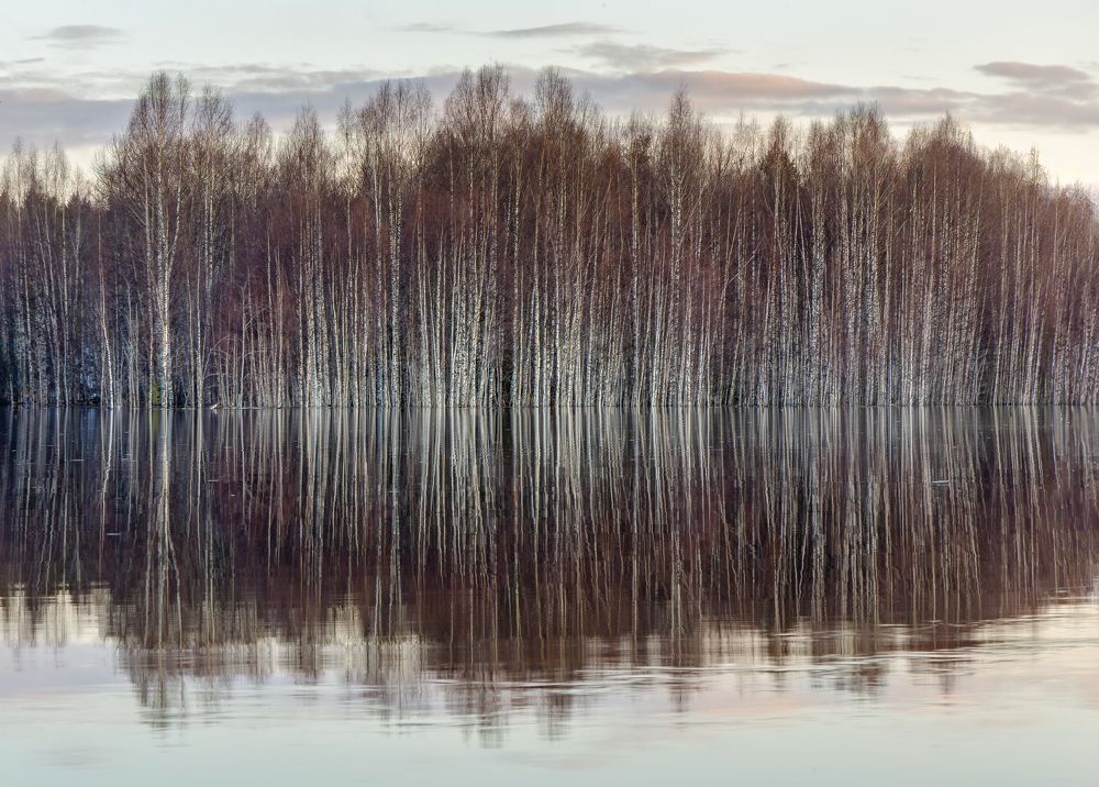 Photograph by Алексей Фрилунд