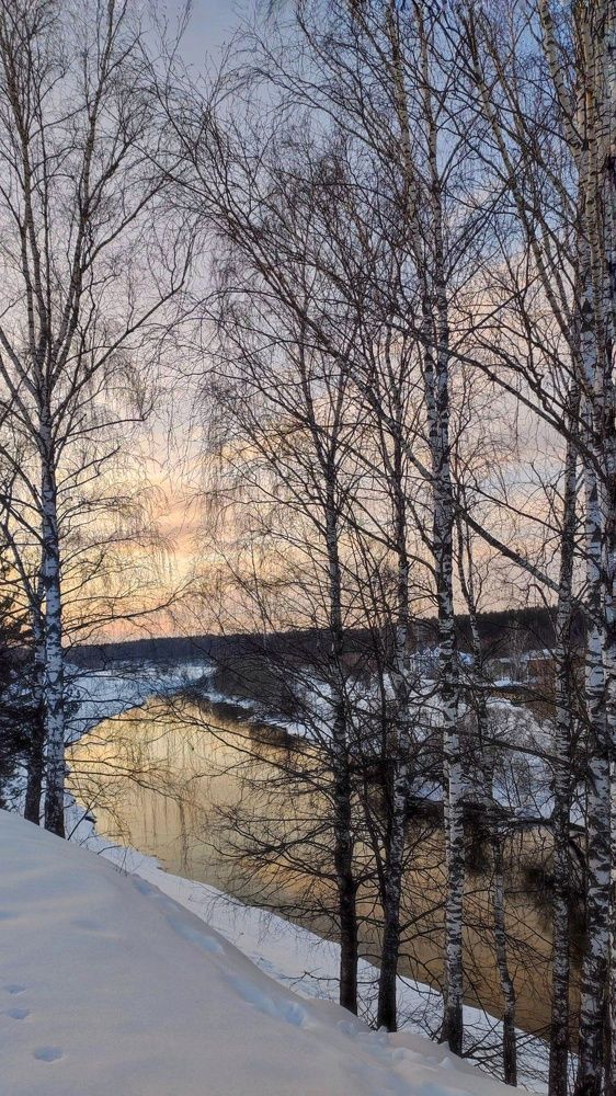 Фотография автора Ксанка Севостьянова