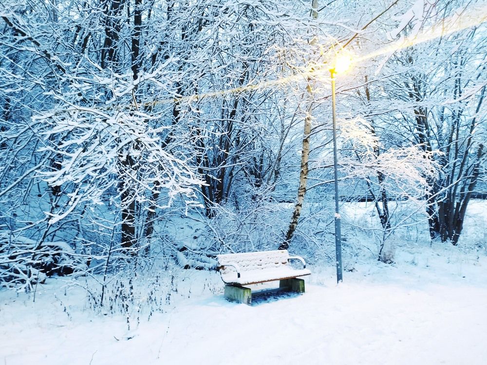 Photograph by Елизавета Хляпова