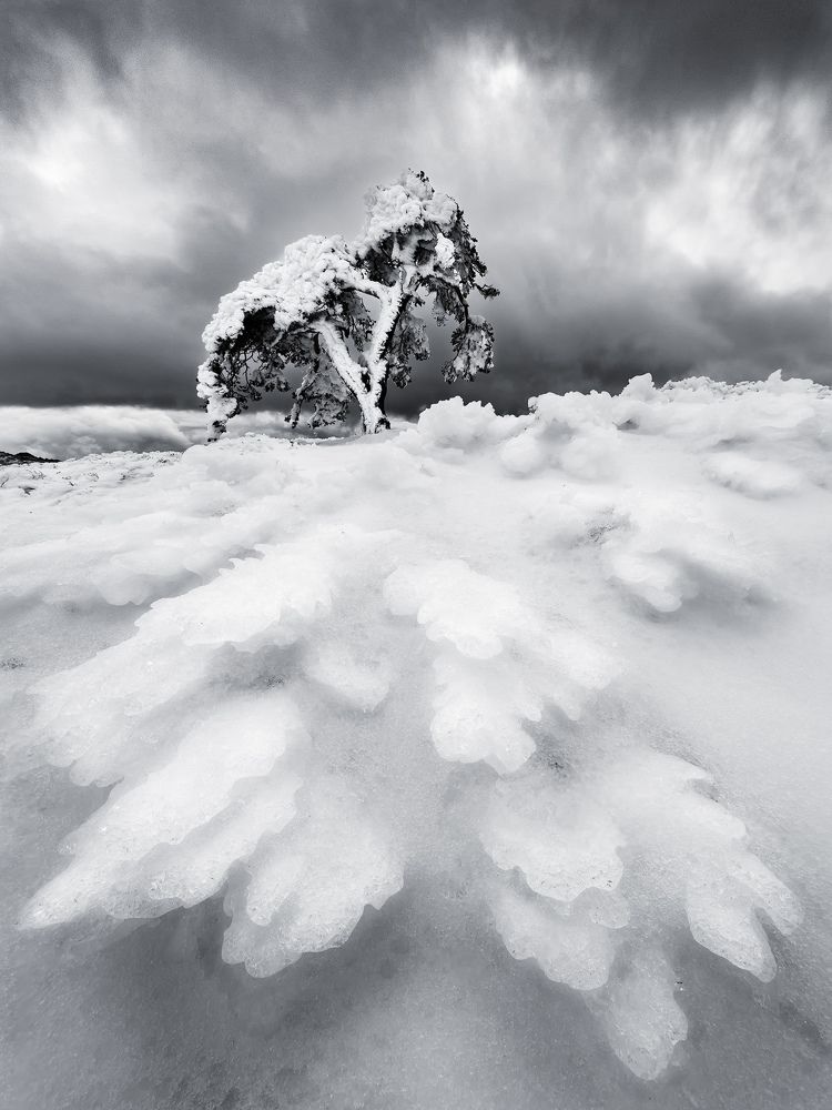 Photograph by Oscar Lata