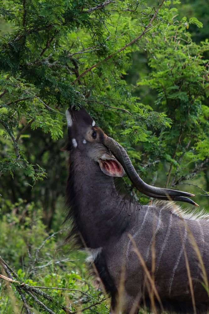 Photograph by Елена Подерегина