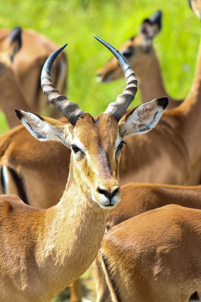 Photograph by Елена Подерегина