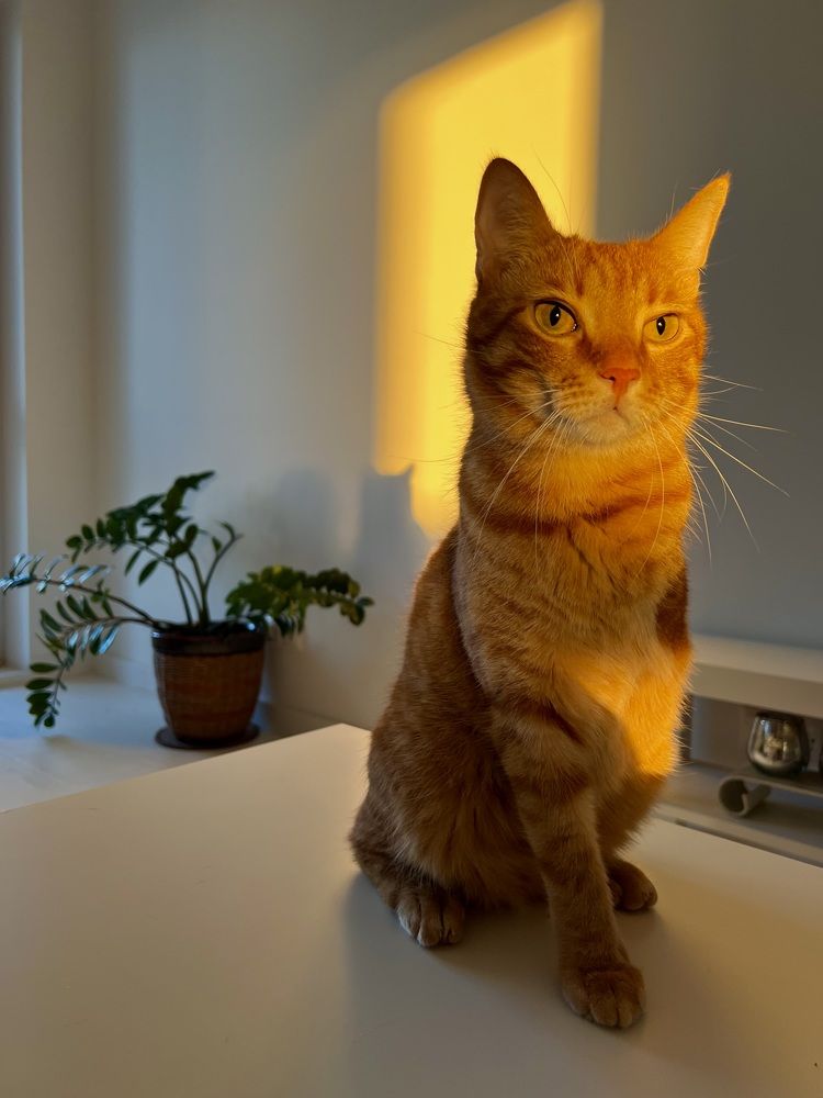 Photograph by Iryna Zakharchenia