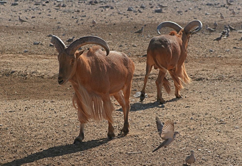 Фотография автора Рожнов Кирилл