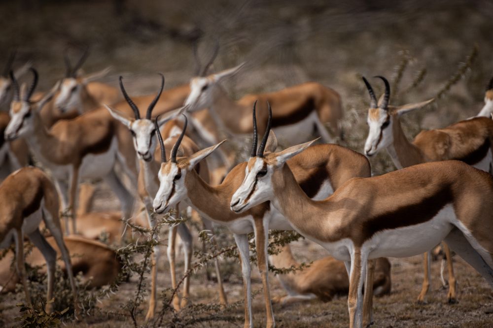 Photograph by Кирилл Мазазолин