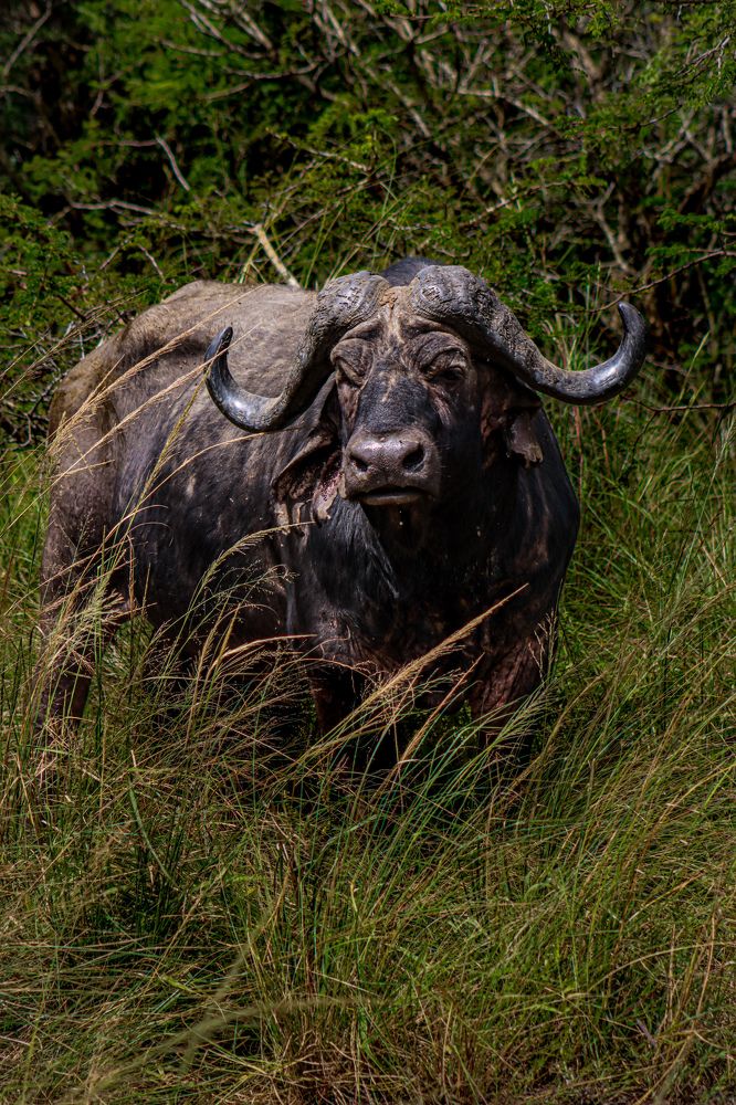 Photograph by Кирилл Мазазолин