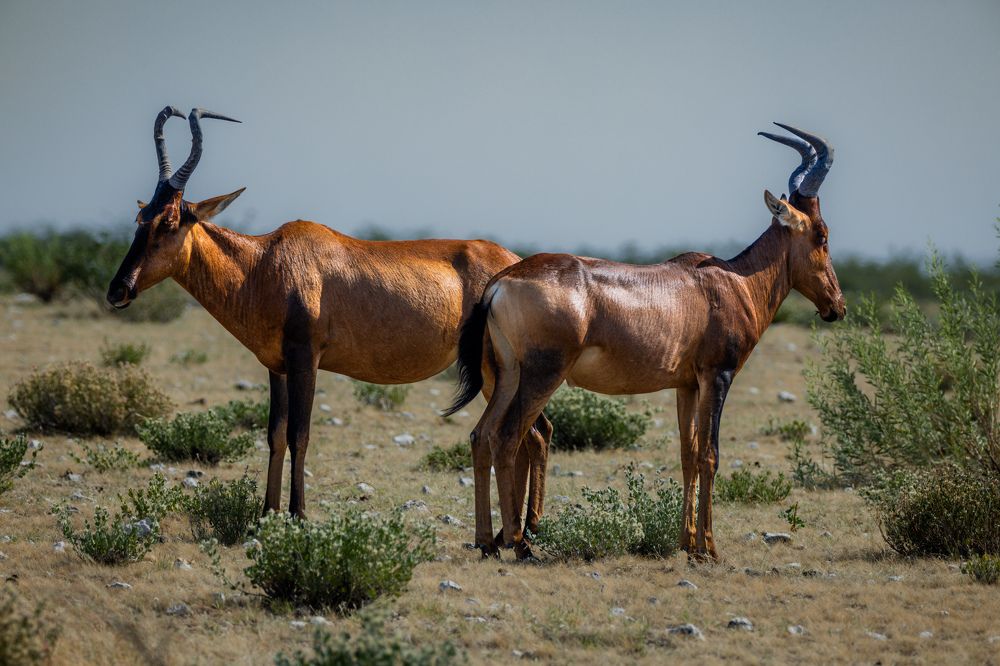 Photograph by Кирилл Мазазолин