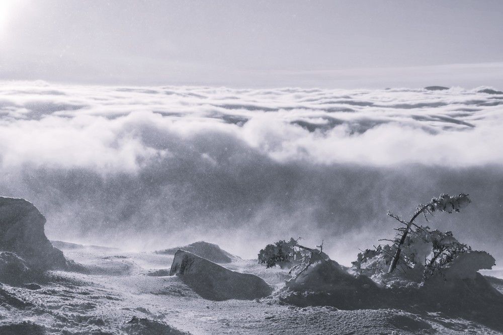 Photograph by Елена Перминова